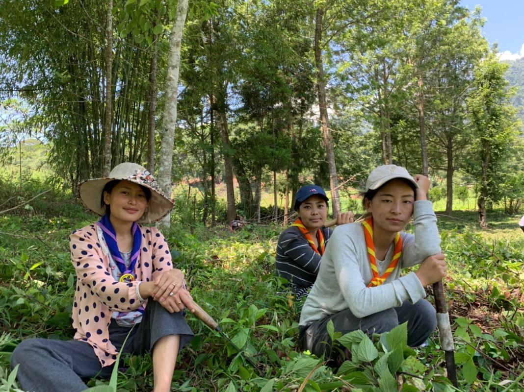 Scouting and Humanitarian action