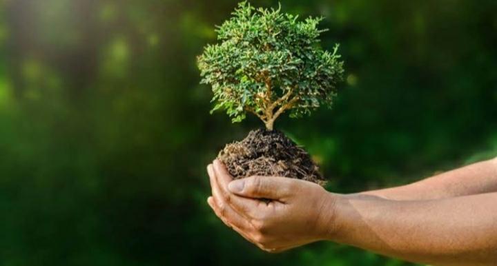 TREE_PLANTATION_CEREMONY