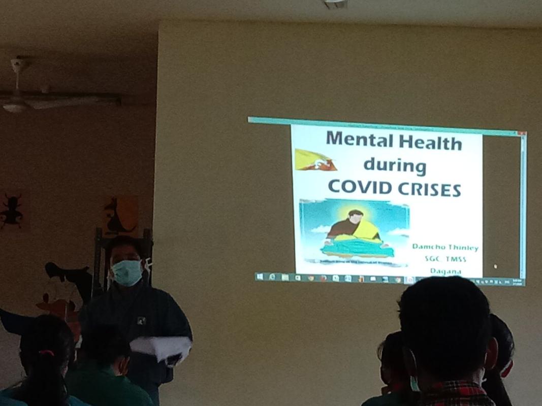 Restoration programmes 