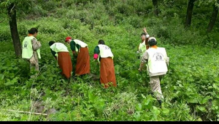 Social Forestry Day celebration