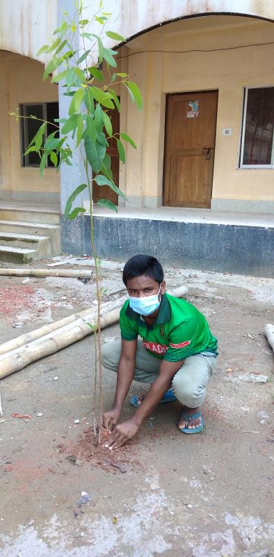 বৃক্ষরোপন কর্মসূচি