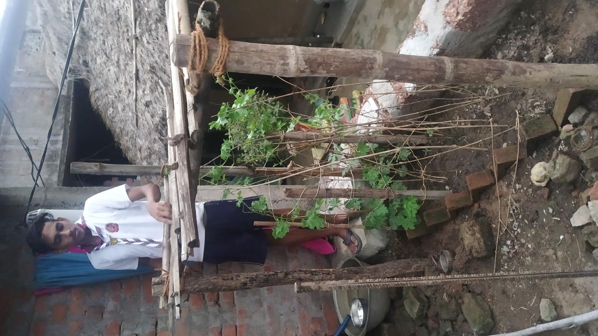 Good Turn during COVID-19 Pandemic