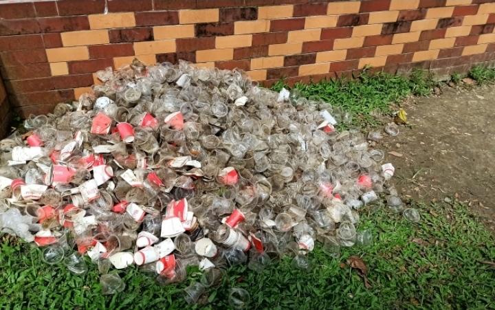 প্লাস্টিক বর্জ্য অপসারণ