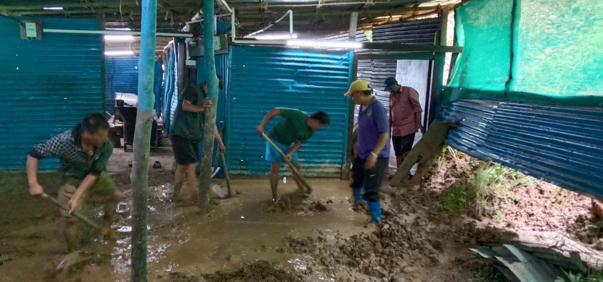   "Resue Dinning Hall from Erosion"