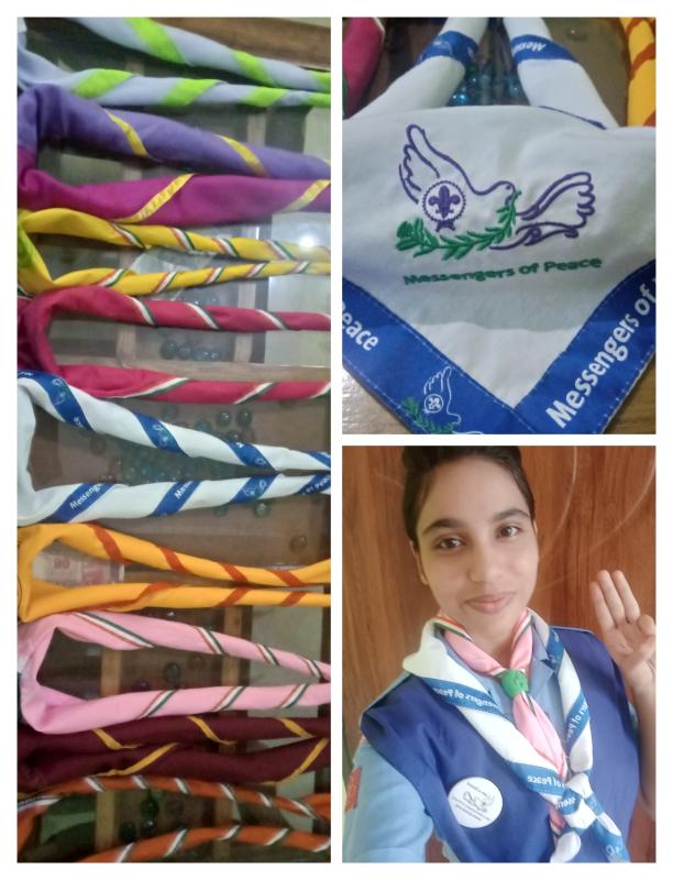 scouting sunrise day activity 2 (were a scarf) 