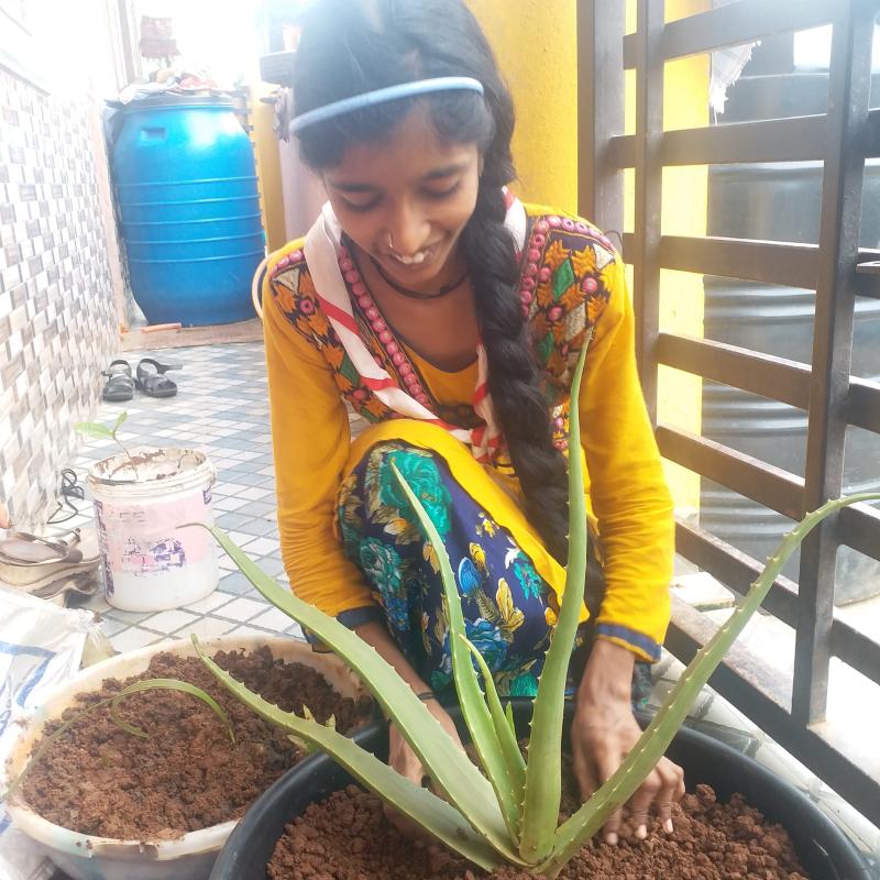 World Scout Scarf Day 2020 _"Good Turn "Dedicated to World Scouting By BSG India 