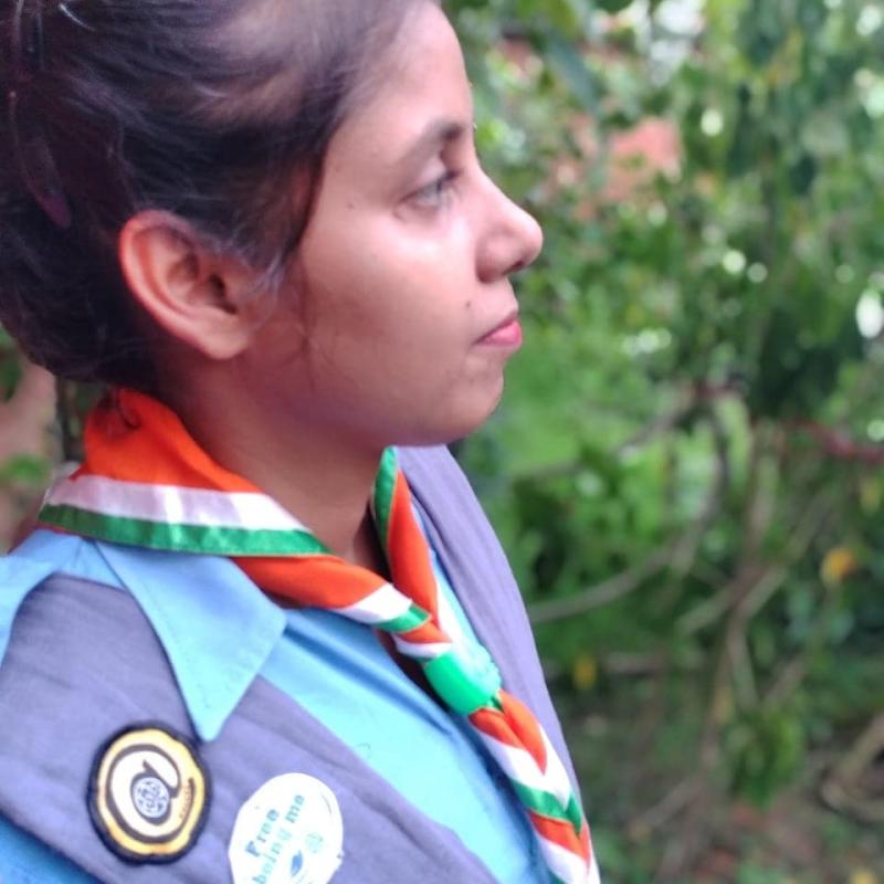 Renew my scouting pledge