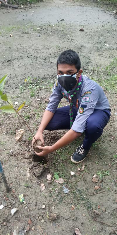 Tree Plantation. 