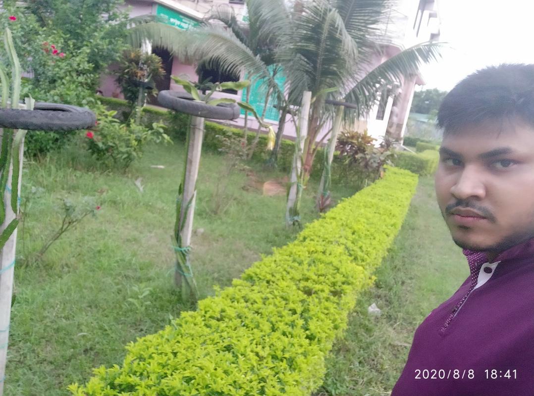 ড্রাগন চাষ