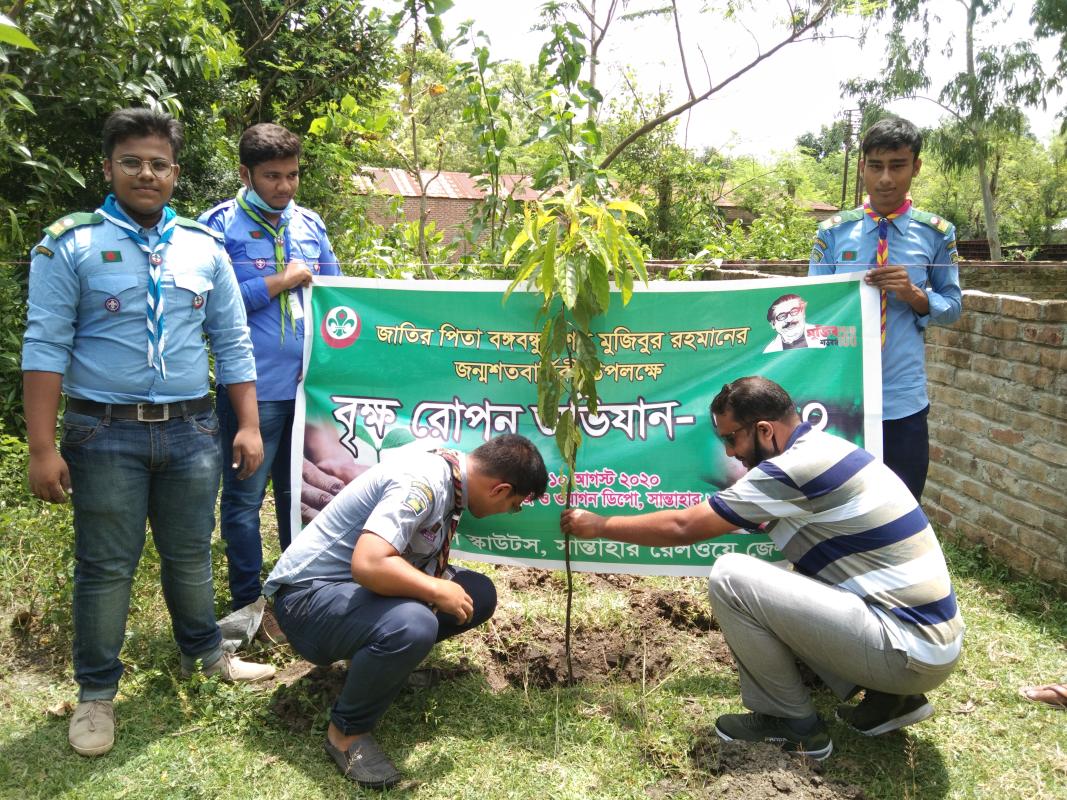 Tree planting campaign