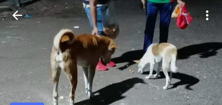 স্কাউট জীবের প্রতি সদয়