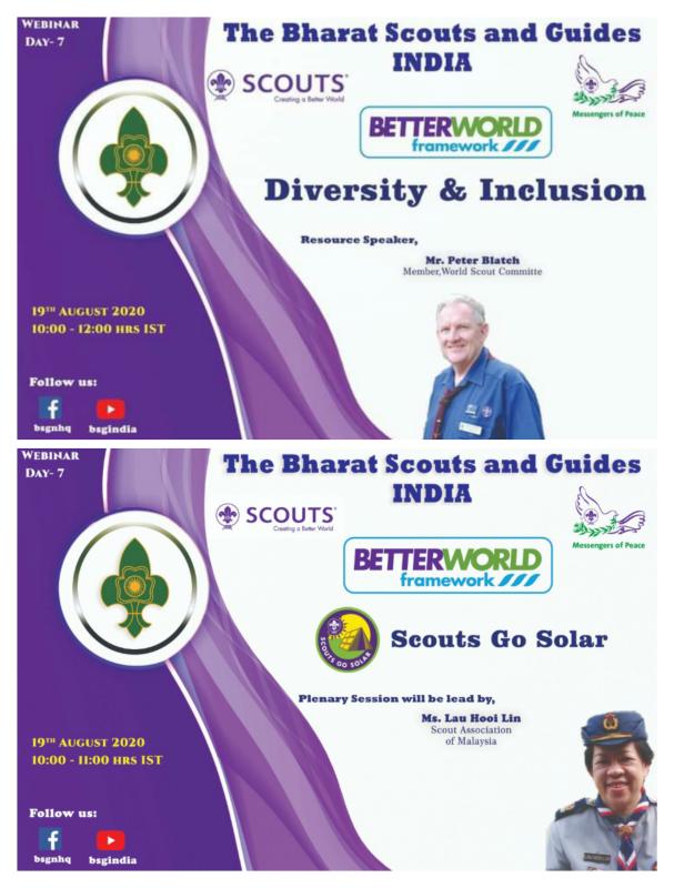 Webinar on Diversity & Inclusion and Scouts go on Solar 
