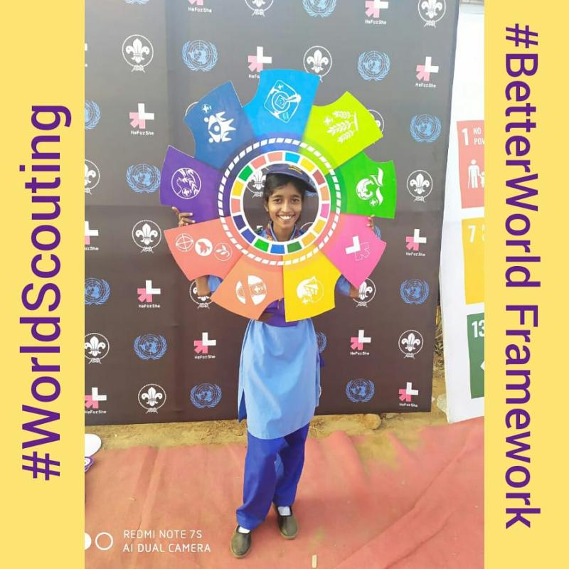 Better World Framework _Webinar by BSG India . 