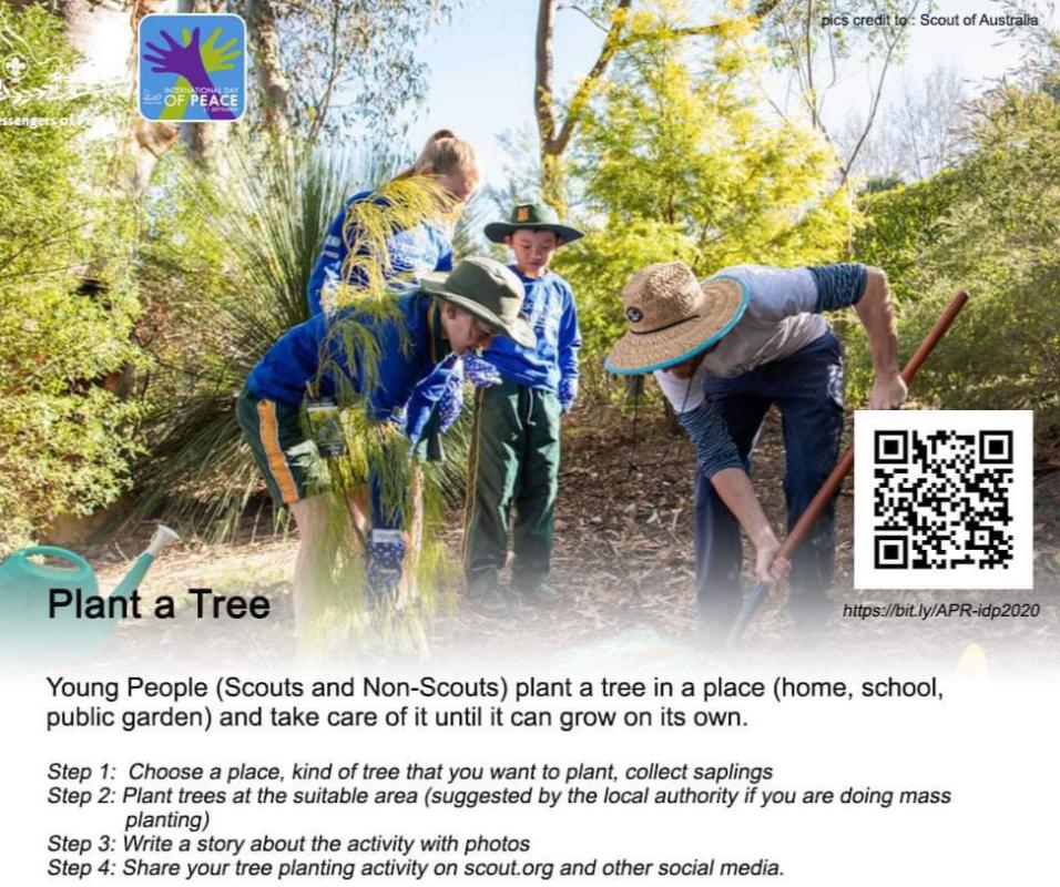 INTERNATIONAL MESSENGER OF PEACE- PLANT A SAPLING