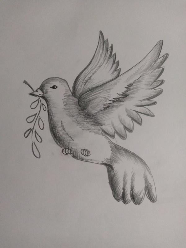 #messenger of peace #BSG drawing