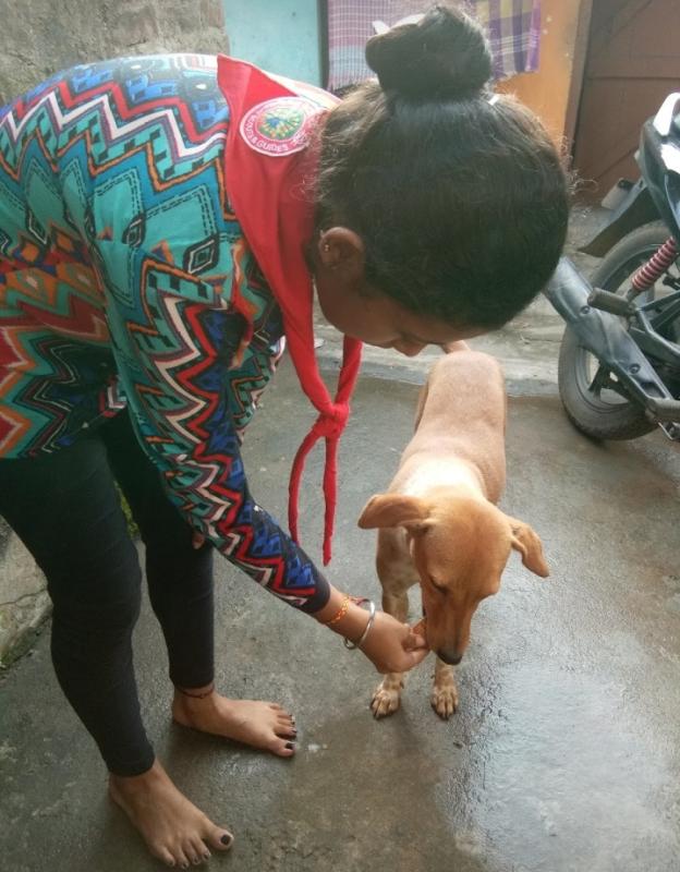 IDP 2020 ACTIVITY 8.7 nd 8.12