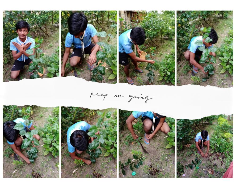 PLANTING PEACE 