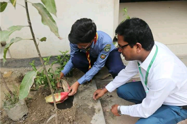 বৃক্ষ রোপণ কর্মসূচি 