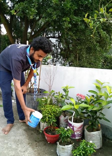 Planting trees on the Roof