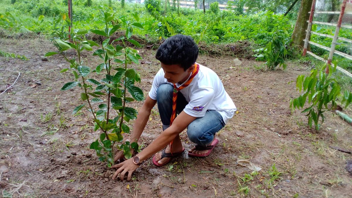 বিশ্ব শান্তি দিবস 