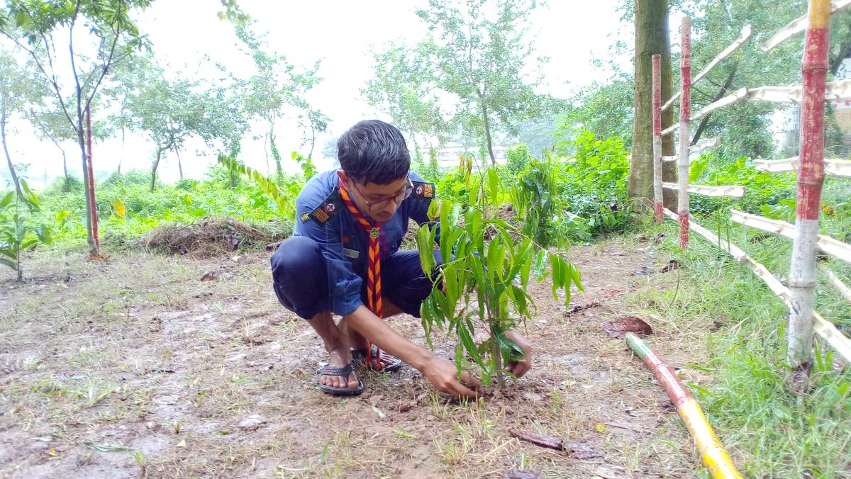 International Day Of Peace Celebration 