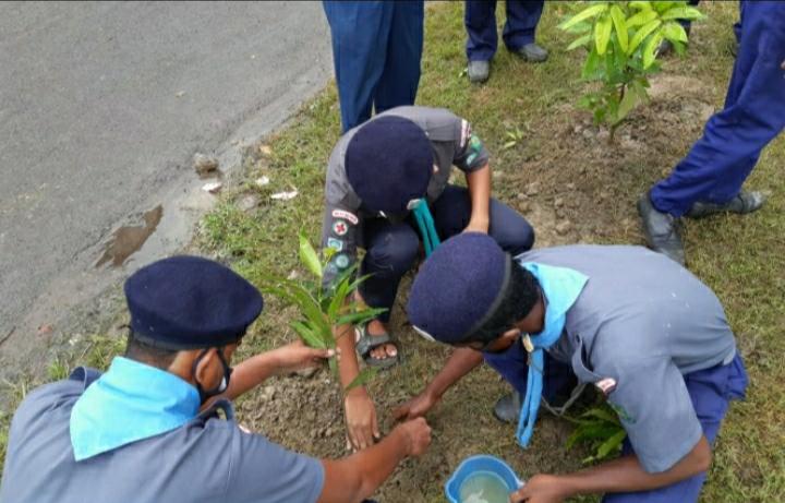 PEACE START WITH NATURE