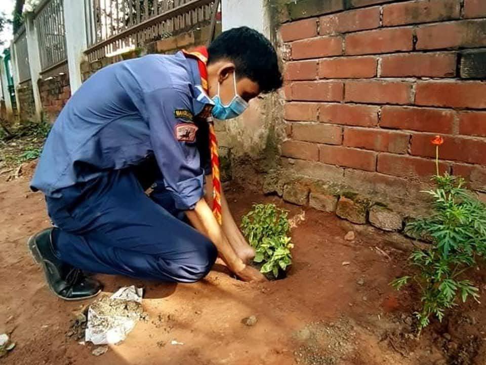 বৃক্ষরোপন কর্মসূচি