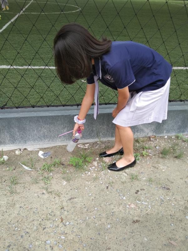 เก็บขยะในโรงเรียน