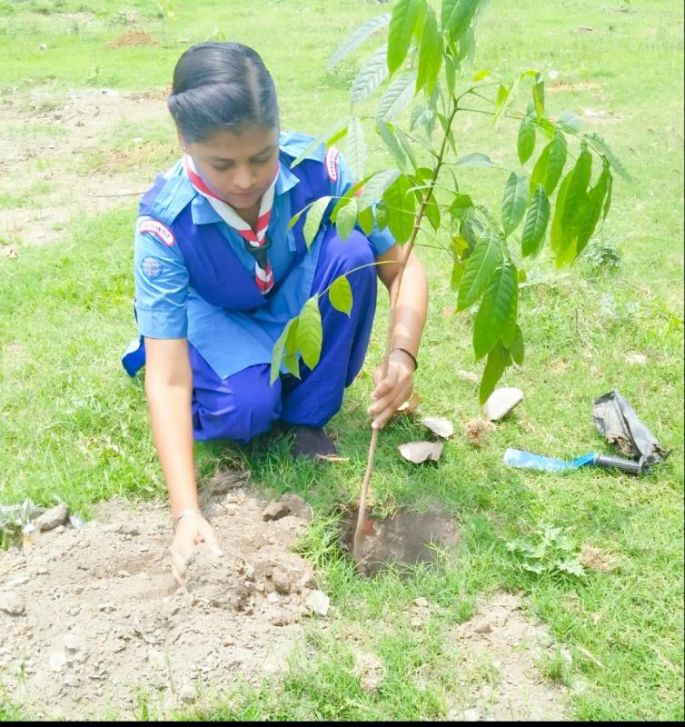 International Day of Peace 