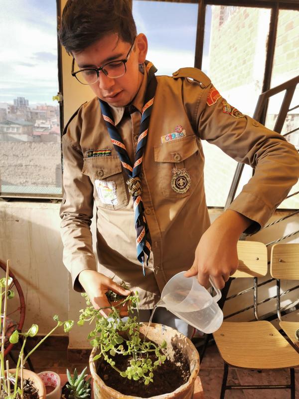 AYUDO AL PLANETA DESDE CASA