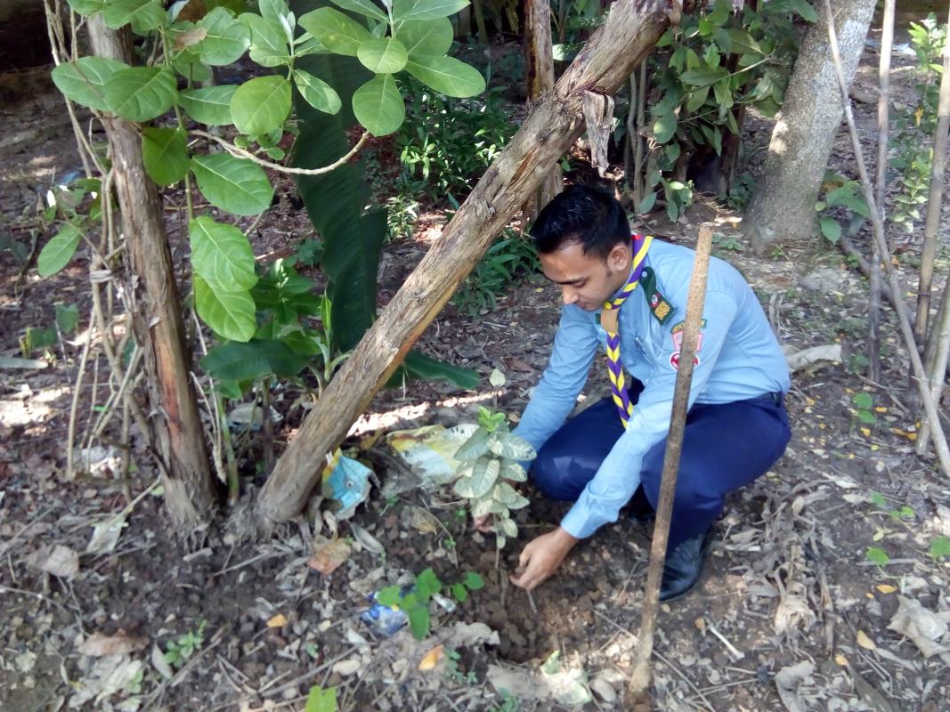 বৃক্ষরোপণ অভিযান 