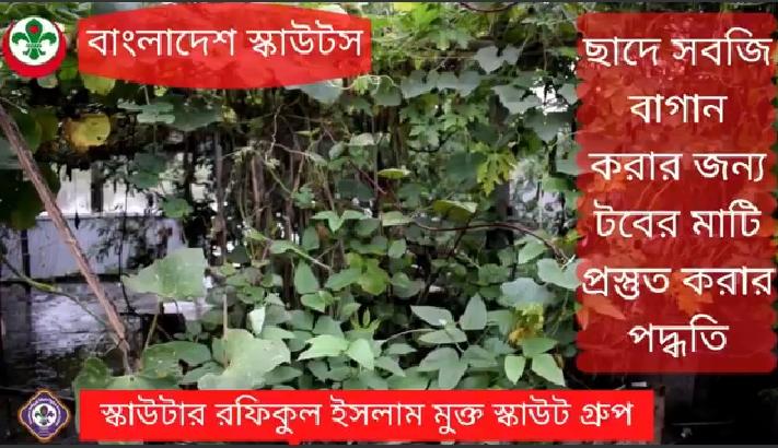 বাড়ির ছাদে সবজি চাষ পর্ব - ২