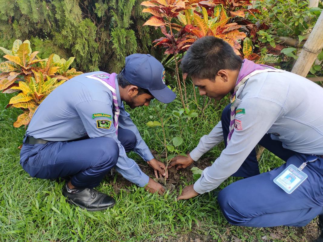 Tree plantation 2020