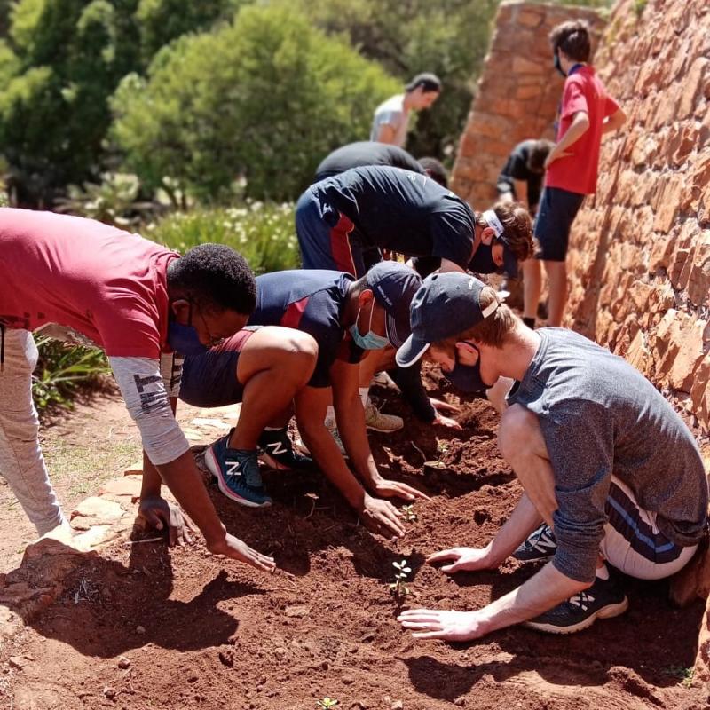 Spekboom farm + education drive