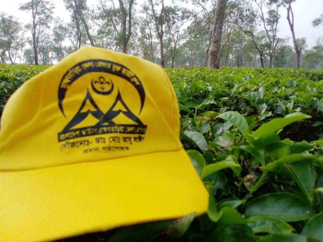 ডে-ক্যাম্প২০২০