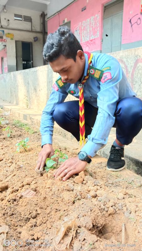 বৃক্ষ রোপণ..।