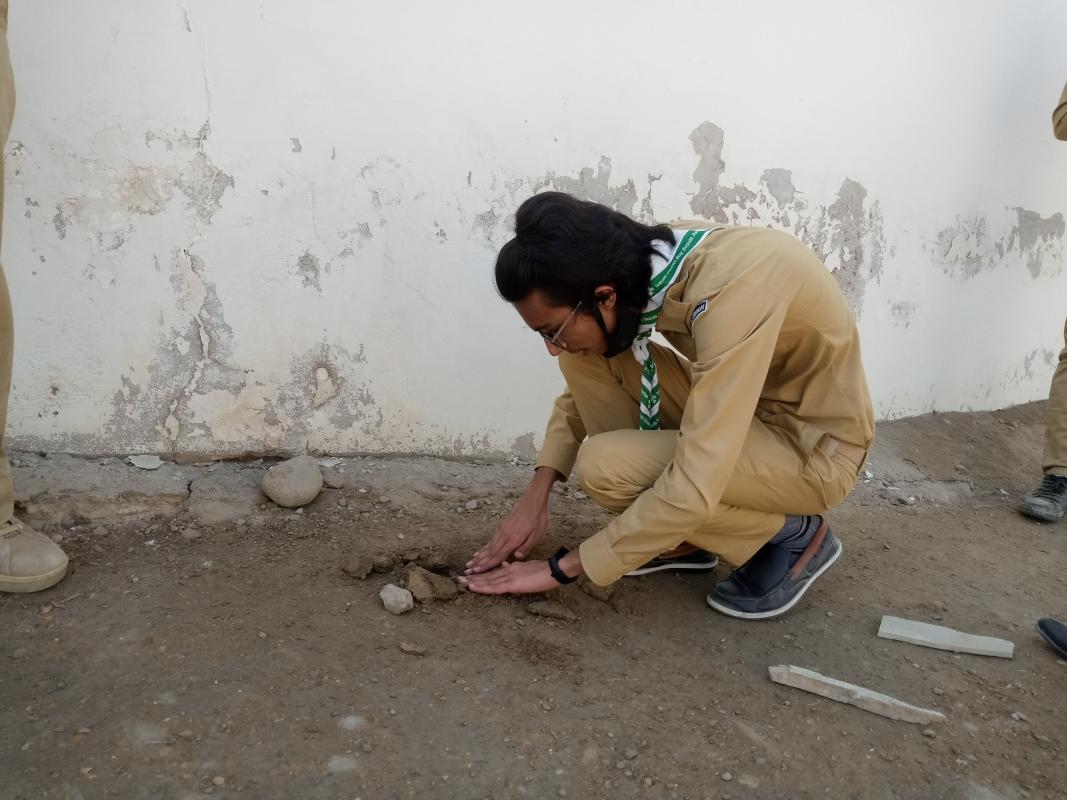 Orange Tree Plantation Project