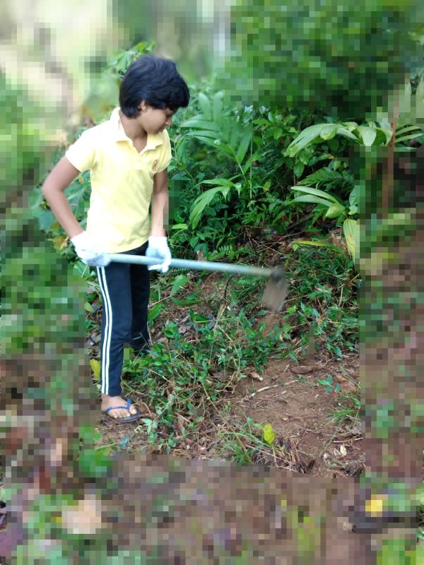 Environment 
