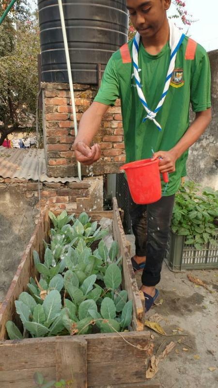 গাছ প্ররিচালনা 