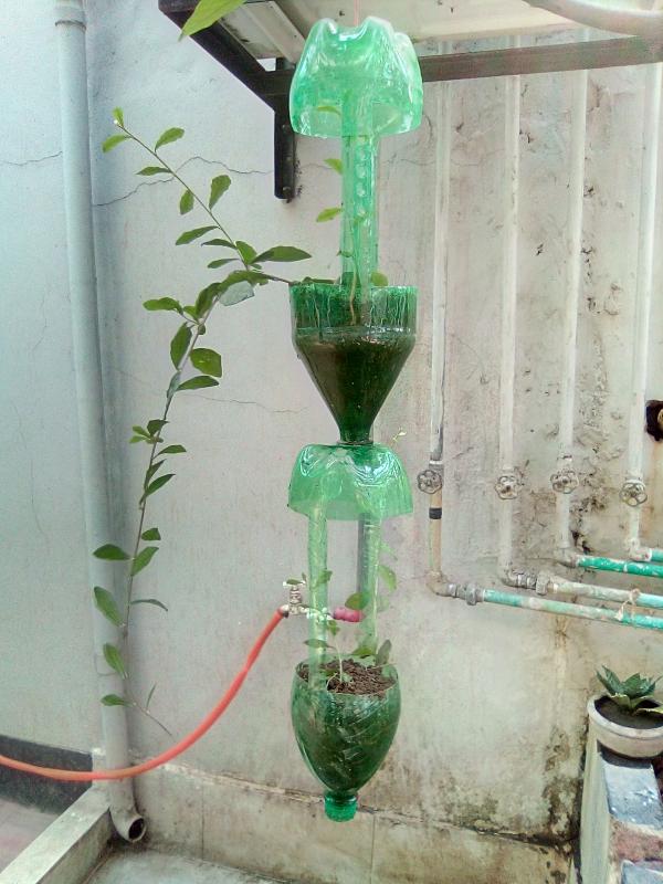 প্লাস্টিক টাইড টার্নার চ্যালেঞ্জ ব্যাজ কার্যক্রম 