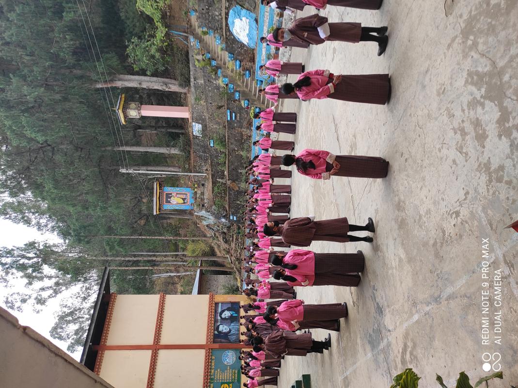 Youth Engagement Programme 