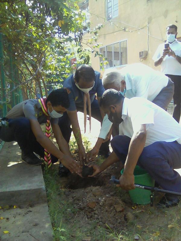 Plant a tree for life