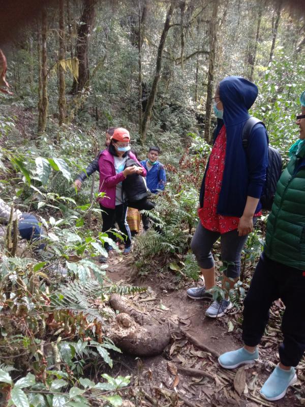 tour to nature conservation