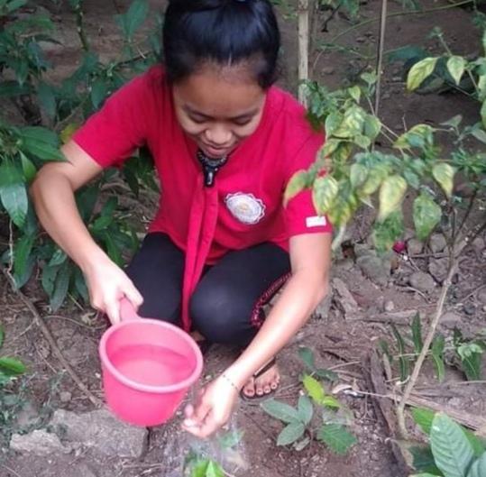 Tree Planting 