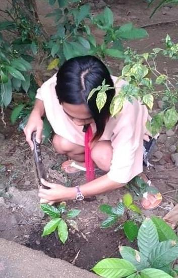 Tree planting