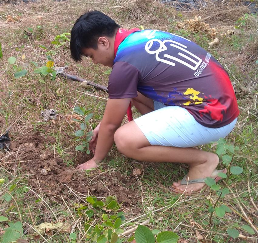 Tree Planting