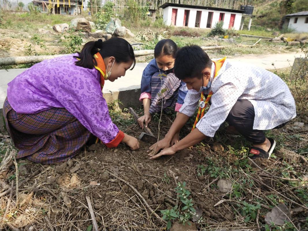 Celebrated Earth hour