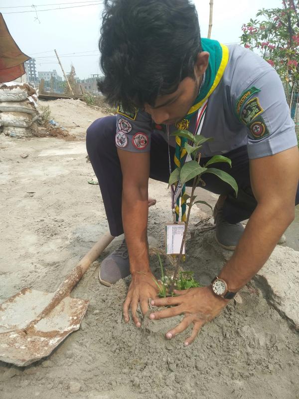 বৃক্ষরোপণ কর্মসূচি  