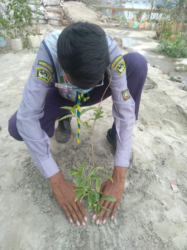 বৃক্ষ রোপণ