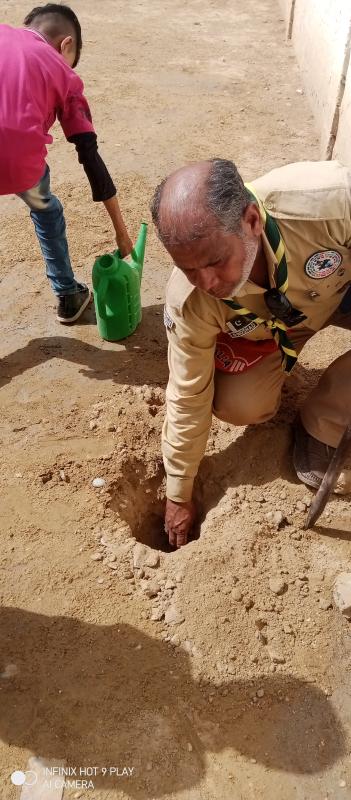 Treeplantation